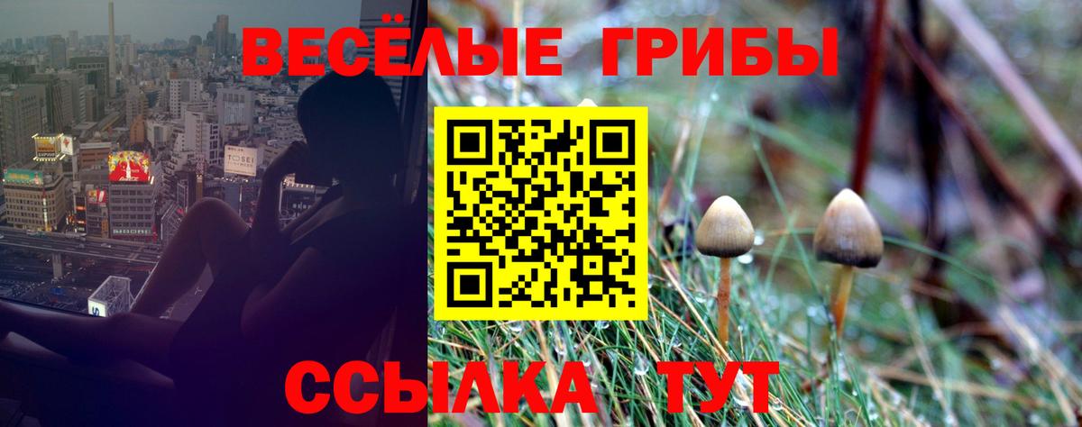 Псилоцибиновые грибы прущие грибы Заречный