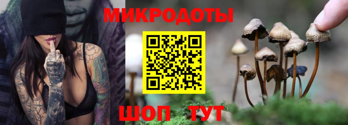 Псилоцибиновые грибы мицелий  Вход с VPN  Заречный  Галлюциногенные грибы Cubensis 
